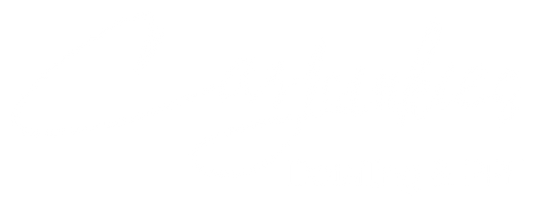 Car Junkies Detailing & PPF